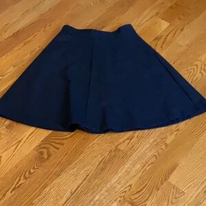 Ann Taylor Blue Mini A-Line Skirt